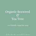 Coast - Organic Seaweed & Tea Tree Bar Soap