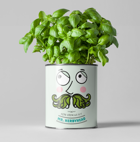 Mr Herbyhead - Eco Grow Your Own Herbs