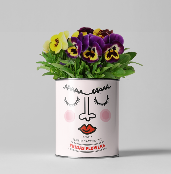 Frida's Flowers - Eco Grow Your Own Plant Kit